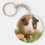 guinea pigs on a lawn porte-clés