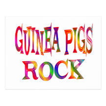Guinea Pigs Rock Post Cards