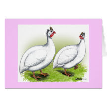 Guineas:  White Cards