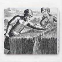 Gulliver is discovered by a farmer in mouse pad