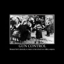 Gun Control Poster posters