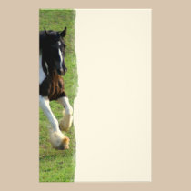 Gypsy Vanner Horse stationery