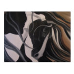 Gypsy Vanner I Post Cards
