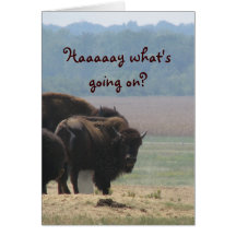 Haaaaay what's going on? greeting card