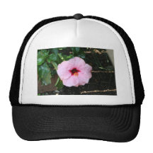 habicus mesh hat