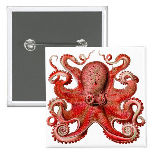 Haeckel Octopus Red Pinback Buttons