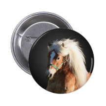 Haflinger Horse Pinback Buttons
