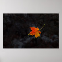 Haiku Posters