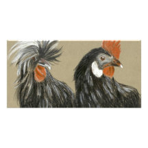 hairstyle chickens customized photo card