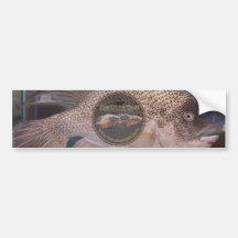 Haitians 2 bumper sticker