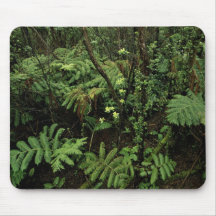 Hakalau Forest National Wildlife Refuge, Hawaii Mousepad