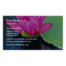 Half bloomed red water lily  flowers business card template
