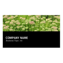 Halfway 0110 - Blue Autumn Business Cards