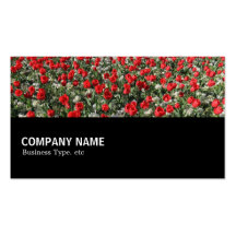 Halfway 097 - Red Tulips and Primroses Business Cards