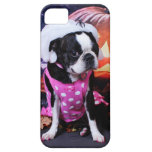 Halloween - Boston Terrier - Georgia