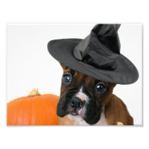 Halloween boxer puppy photo print