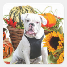 Halloween bulldog stickers