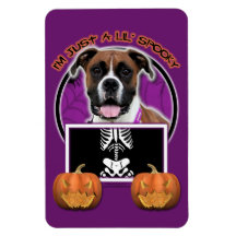 Halloween - Just a Lil Spooky - Boxer - Vindy Magnets