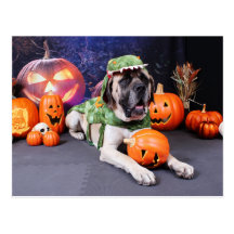 Halloween - Mastiff - Lach Postcards