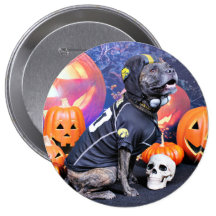 Halloween - Pitbull - Marley Pin