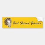 Handsome Horse Bumper Sticker