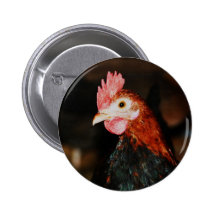 Handsome Rooster Pins