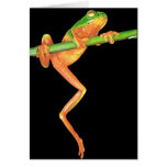 Hang In there! Card