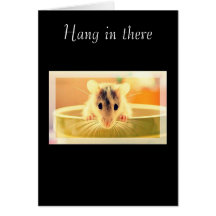 hang in there catch up cards