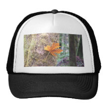 Hang in there hats