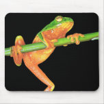 Hang In there! Mouse Pads