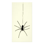 Hanging Spider Picture Card