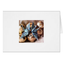 Hanukkah mosaic duo card