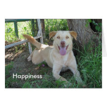 Happiness Greeting Card