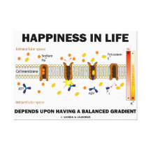 Happiness In Life Depends Upon Having Balanced Stretched Canvas Print