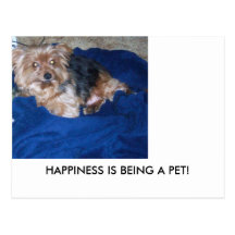 HAPPINESS IS BEING A PET! POST CARDS