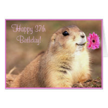 Happy 37th Birthday Prairie dog greeting card