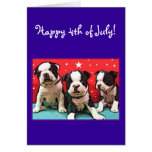 Happy 4th of July Boston Terrier greeting card