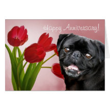 Happy Anniversary Pug greeting card