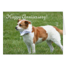 Happy Anniversary Terrier mix dog greeting card