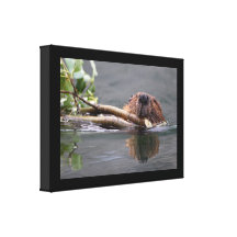 Happy Beaver Stretched Canvas Print