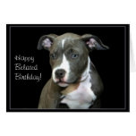 Happy Belated Birthday Pitbull puppy greeting card