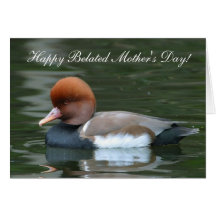 Happy Belated Mother's Day  Wild Duck Card