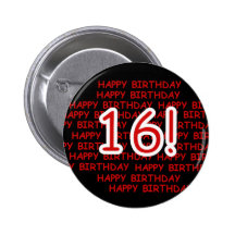 Happy Birthday 16 Pins