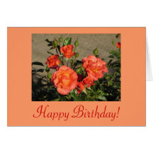 Happy Birthday! Apricot Cathedral Roses Card
