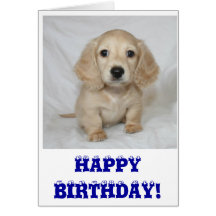 Happy birthday dachshund cards