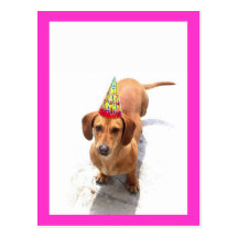 Happy Birthday Dachshund Postcard