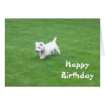 happy birthday dog card