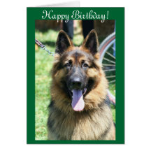 Happy Birthday German Shepherd greeting card