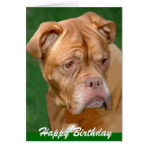 Happy Birthday Greeting Card