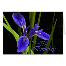 Happy Birthday Iris Greeting Cards